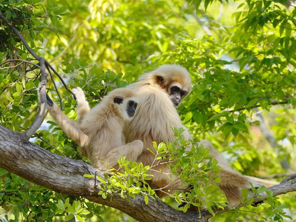 🐒 도키와 동물원 이미지 3